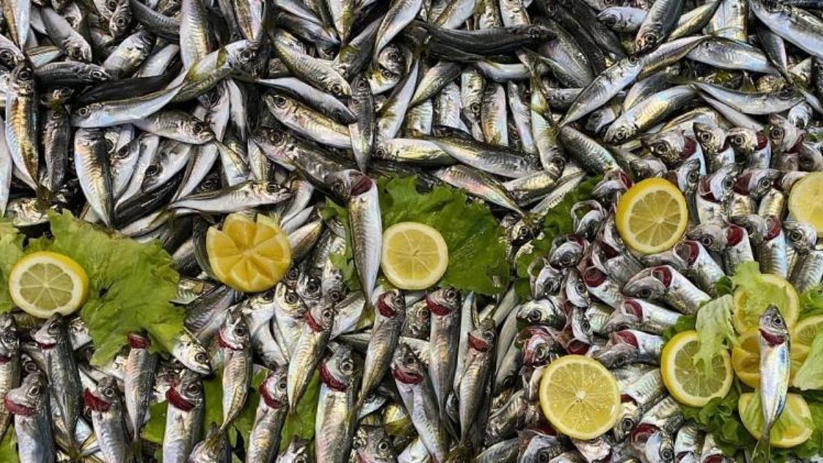 Vatandaşlar balık tezgahlarına akın etti! Hamsi yokluğu talebi durduramadı