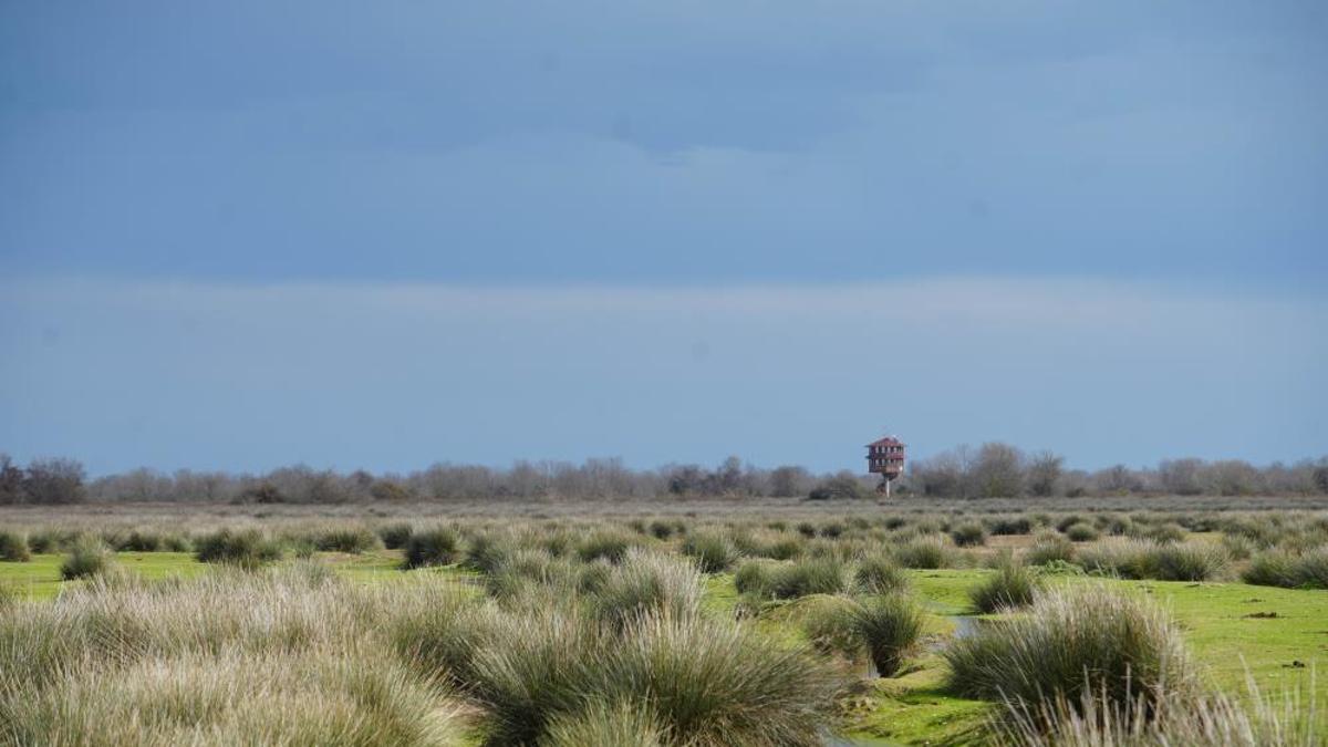 Samsun ev sahipliği yapıyor! 27'si bu bölgede
