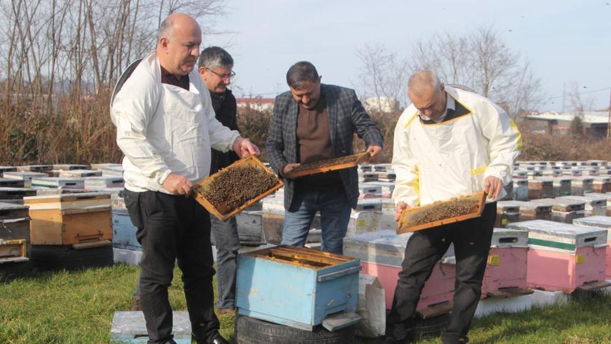 Türkiye'de en fazla bal üretimi burada yapılıyor! Arıcılar sezona hazırlanıyor
