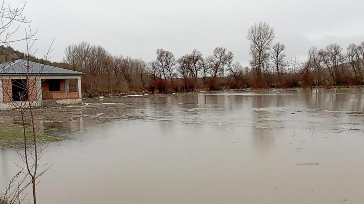Tokat'ta ırmak taştı, üretim alanları sular altında kaldı!