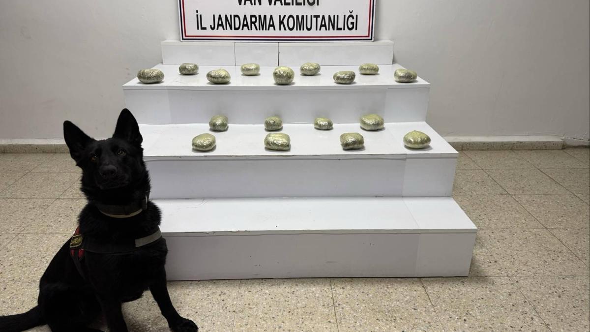 Van’da arazide 20 kilo 250 gram esrar ele geçirildi