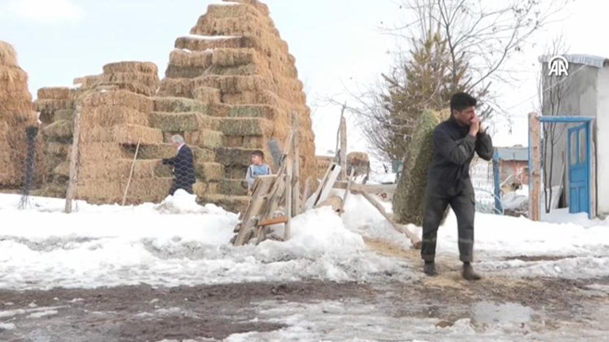 Üniversiteyi bitiren geri döndü: İlkel yöntemleri bıraktılar, yılda 8 milyon lira kazanıyorlar