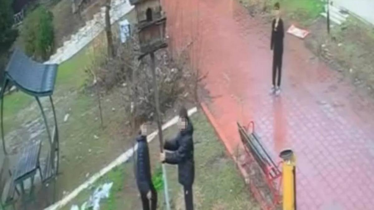 Kuş yuvasını parçalamışlardı! 4 şahsa ev hapsi cezası