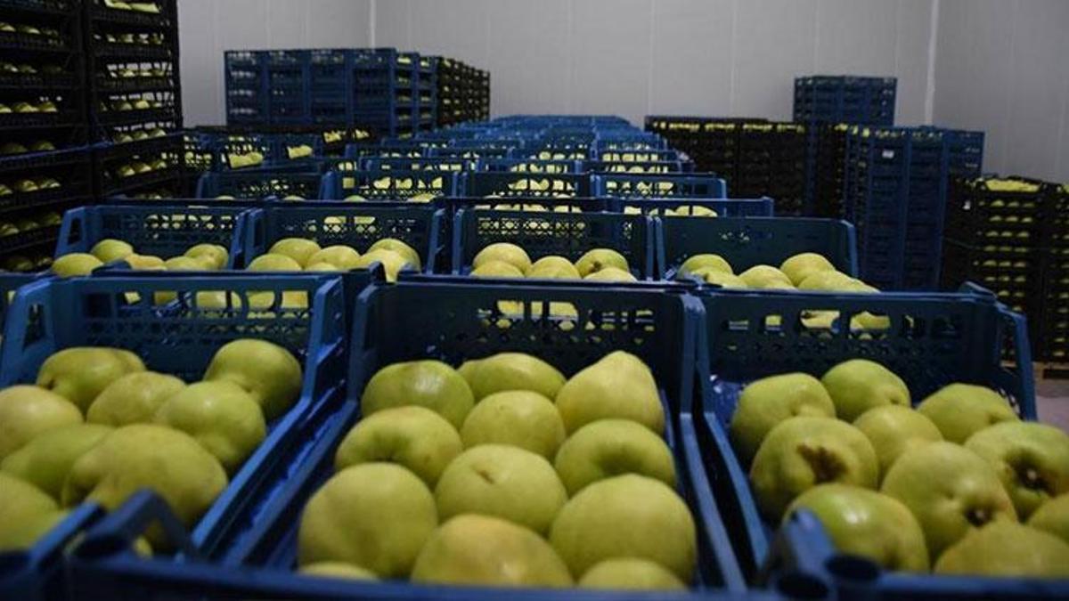 Bursa’nın Kestel ilçesine 400 milyon liralık dev meyve tesisi kuruluyor
