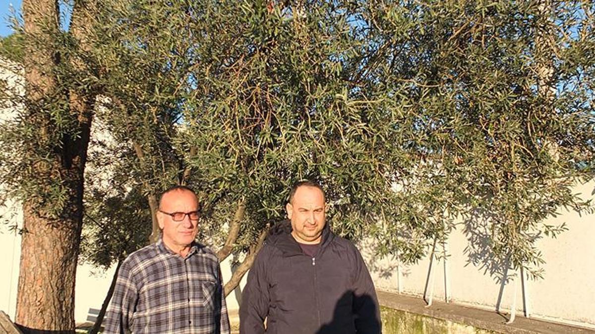 Balıkesir'de su baskınlarına rağmen üreticinin yüzü gülüyor