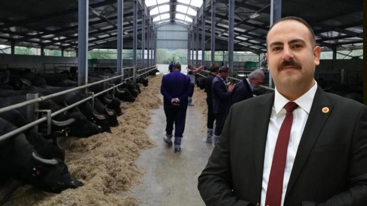 Eskişehir'e 1 yenisi daha kuruluyor! Artan talebi karşılayacak