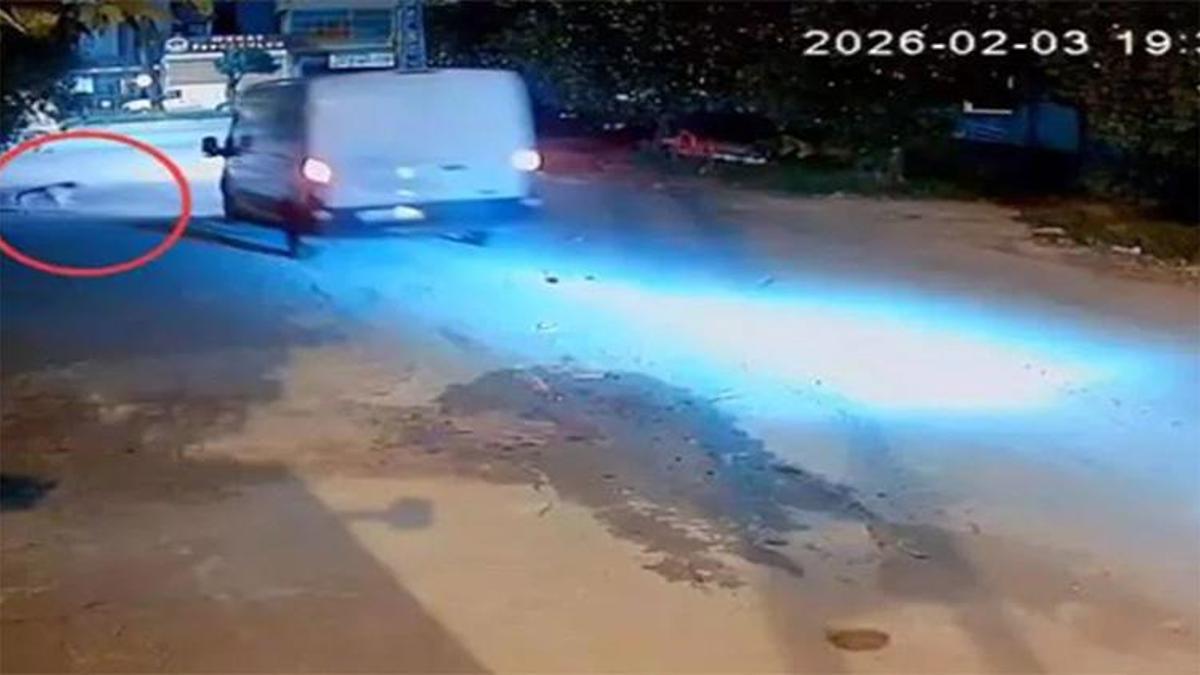 Adana - Kamyonet sürücüsü, araca havlayan köpeği ezdi