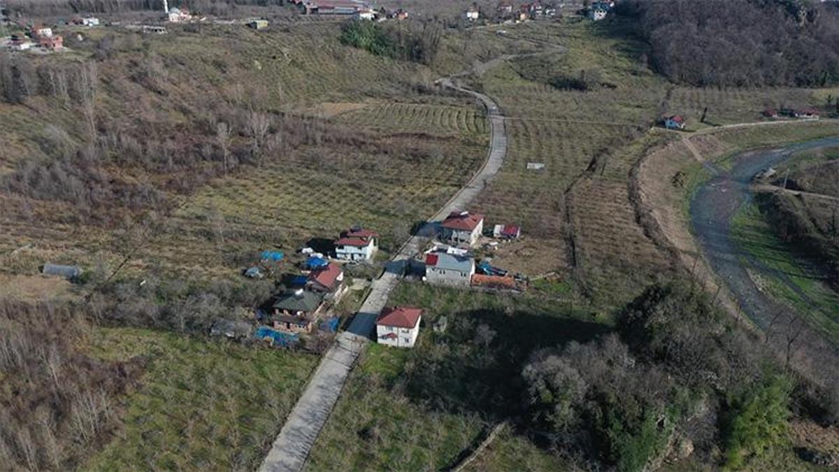 Ordu'nun 30 yıldır kanayan yarasına neşter vuruluyor! Fatsa ve Ünye ihya olacak