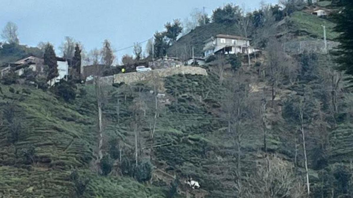Rize Güneysu'da hafif ticari araç uçuruma yuvarlandı, eski muhtar hayatını kaybetti