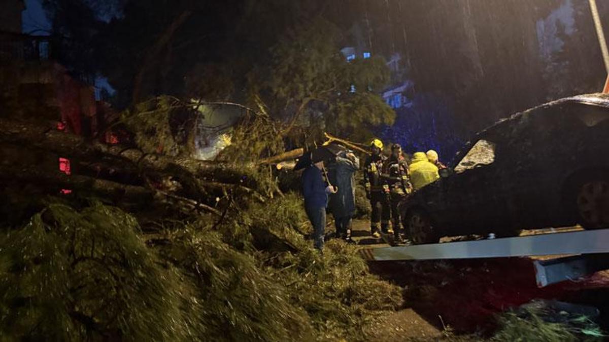 Ağacın otomobilin üzerine devrilmesi sonucu 2 kişi yaralandı