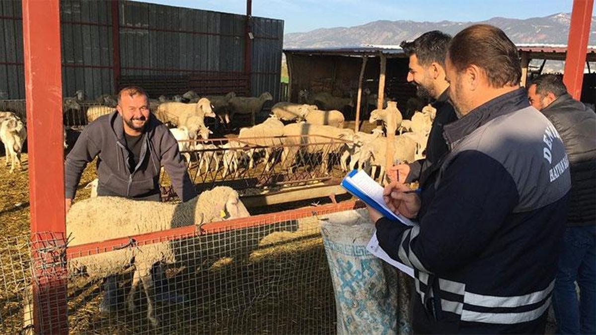 Denizli, 2025’te hayvancılıkta tarihi başarılara imza attı