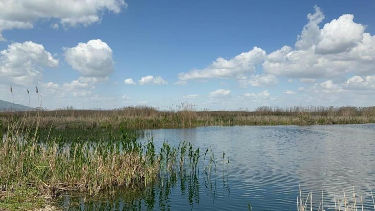 Yoğun kar yağışı Eber Gölü ve kiraza umut oldu