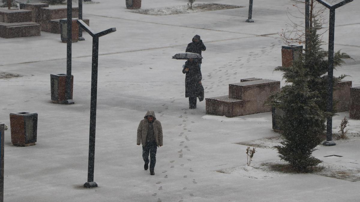 Van'da kar ve sis etkili oldu; 141 yerleşim yerine ulaşım sağlanamıyor