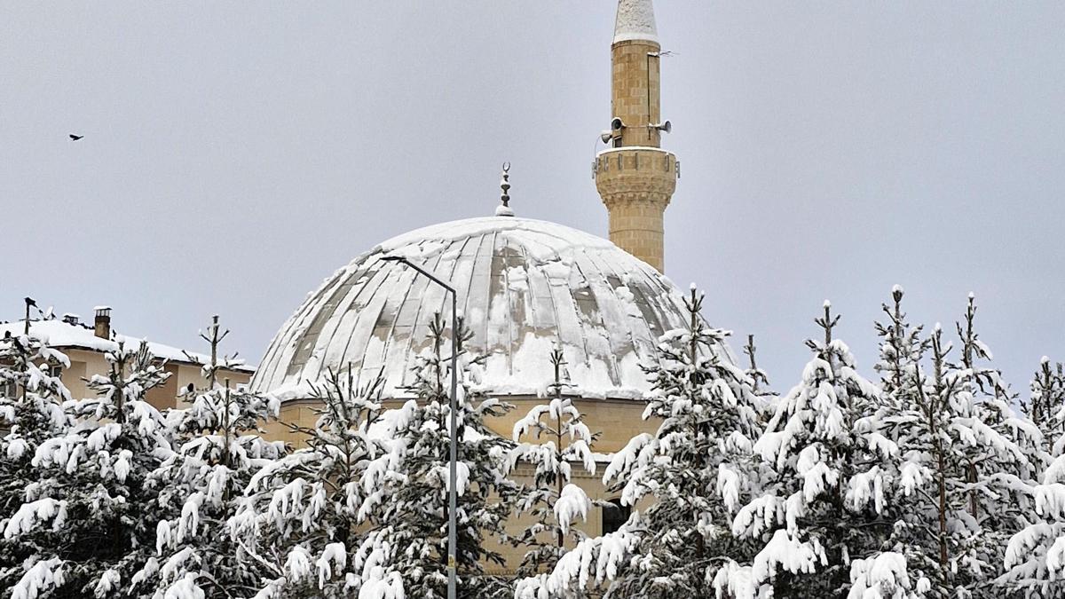 Erzurum'da kar yağışı; 775 mahalle yolu kapandı