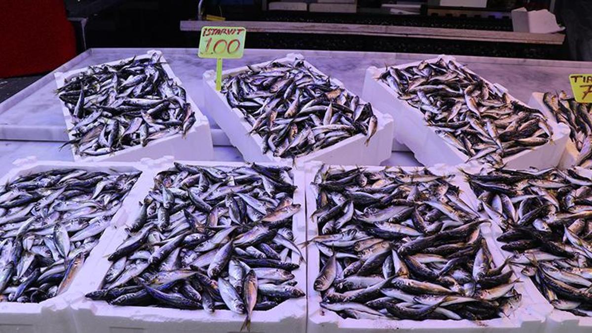Hamsi gitti, istavrit geldi! Rize Balıkçı Pazarı'nda vatandaşın yeni favorisi belli oldu