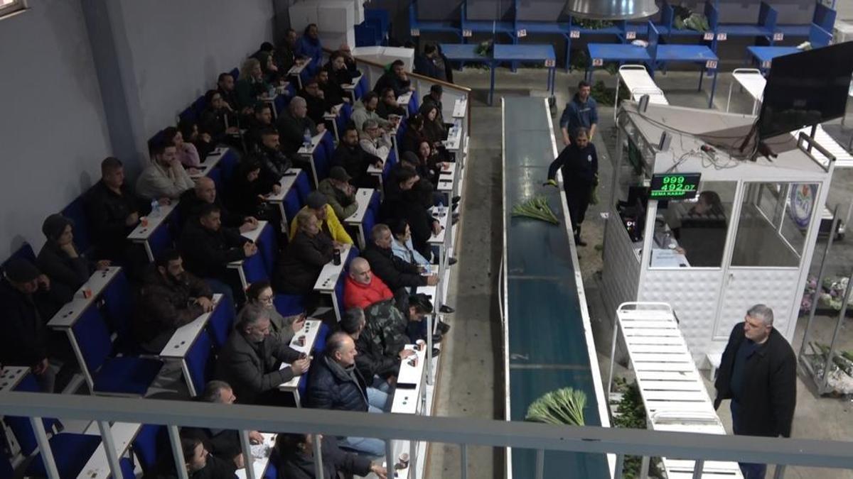 Sevgililer Günü öncesi çiçek mezatlarında yoğunluk! Satışlar 8 kat arttı