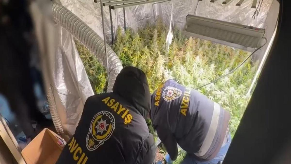 Avcılar'da metruk binada bulundu: Tüm İstanbul'a satılıyor!