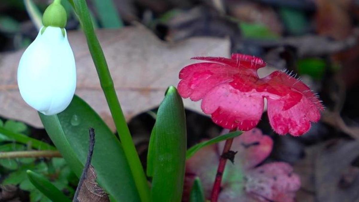 12 bin türün 1991'i Amasya'da! Bu doğal serveti te…