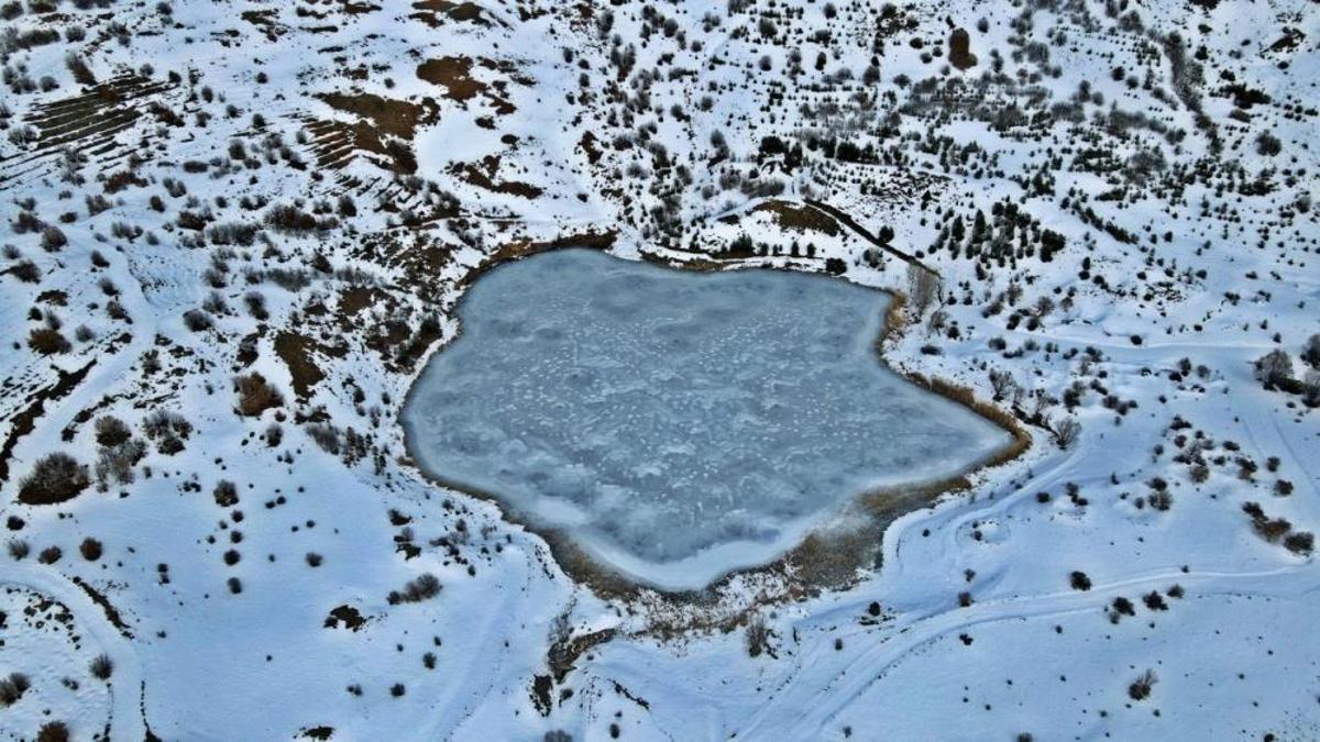 Erzincan'da da görüldü: Bin 660 rakımda fark edildi