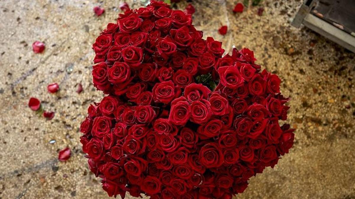 Sevgililer Günü çiçeği ne alınır? Anlamlarına göre en güzel çiçek seçimi rehberi