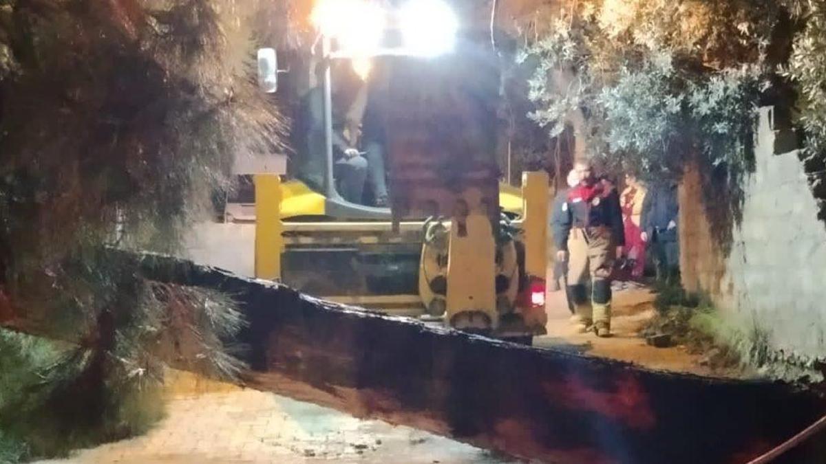 Defne’de fırtına nedeniyle ağaç yola devrildi
