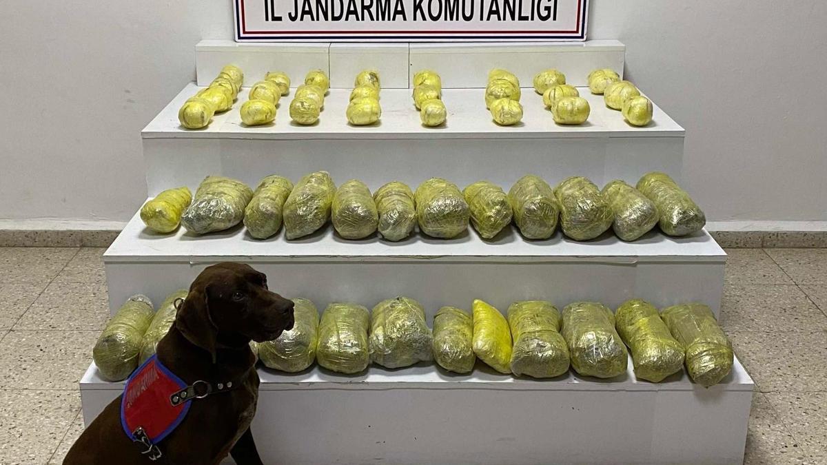 Van’da 42 kilo uyuşturucu ele geçirildi