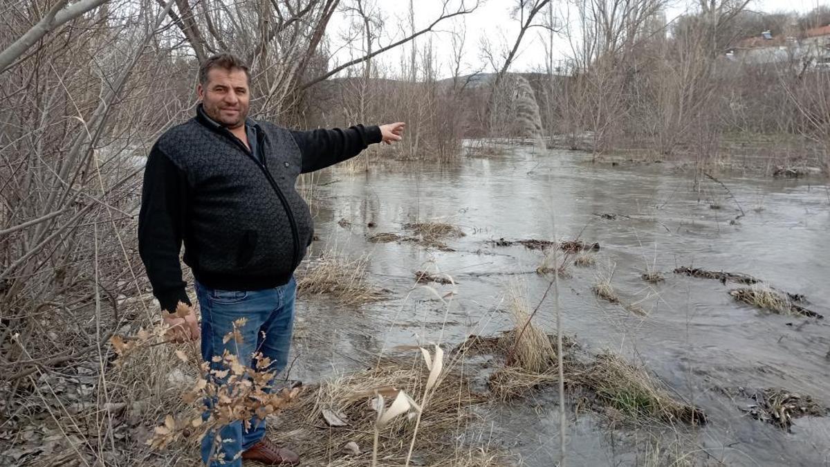 Tokat'ta bin 500 dönümde görüldü: Köylüler kapılara dayandı