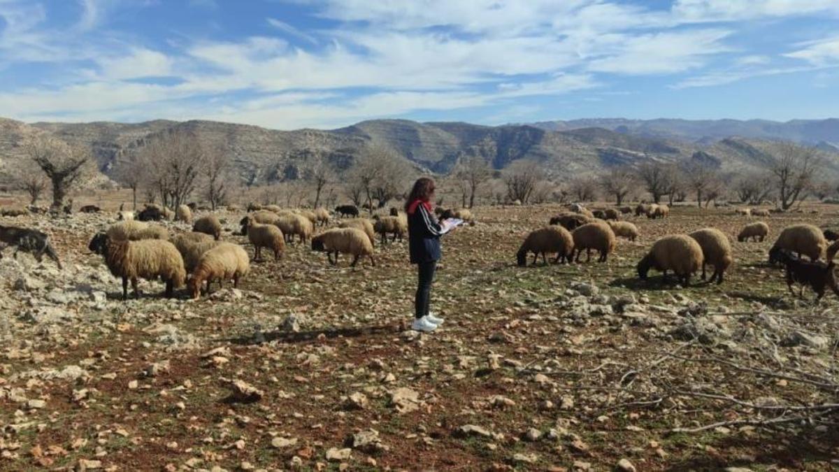 Şırnak'ta arazide dikkat çekti: Tespit edilince kayıt altına alındı!