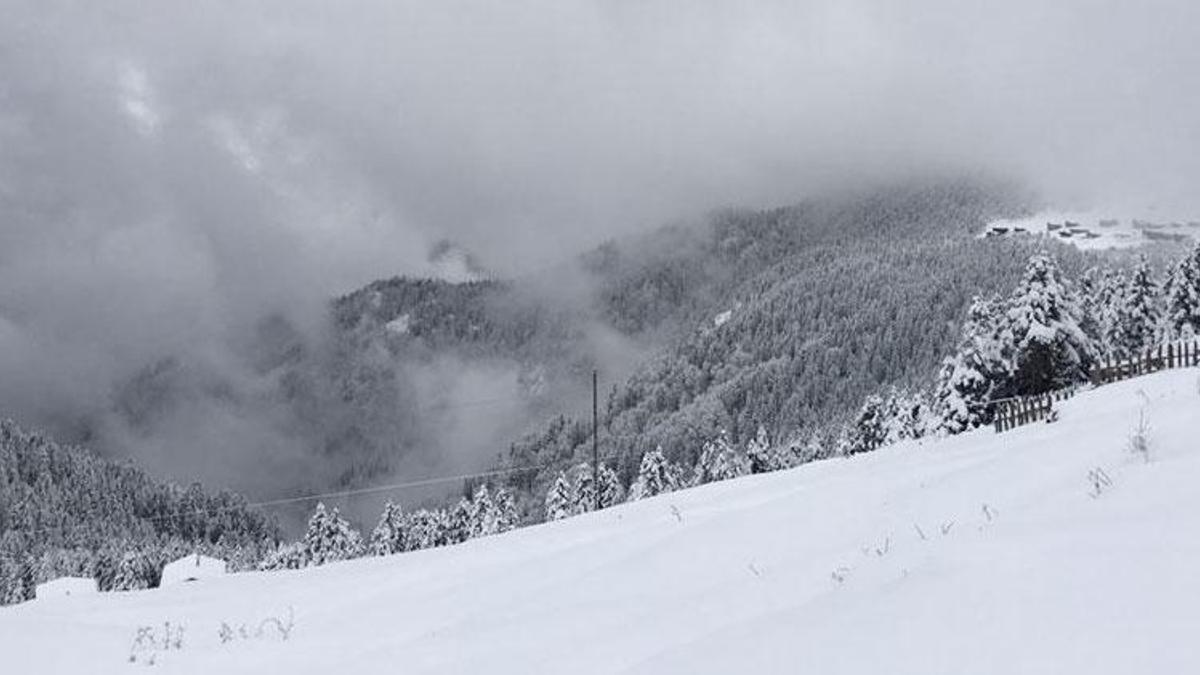 ABD’nin California eyaletinde çığ felaketi: 8 kayakçı öldü, 1 kayakçı kayıp