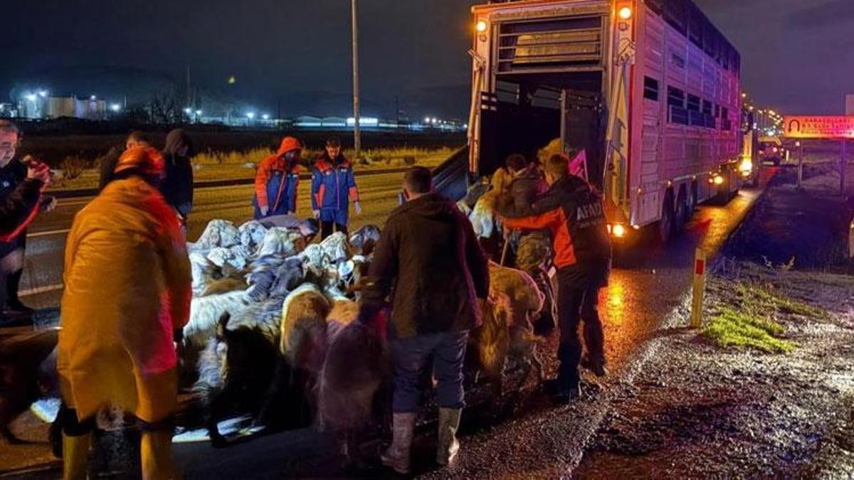 Kayseri Kocasinan’da taşkın riski: 200 hayvan tahliye edildi