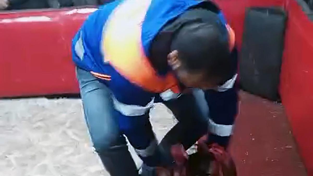 Temizlik işçisi kıyafeti giyen polisten horoz dövüşüne suçüstü; 661 bin lira ceza