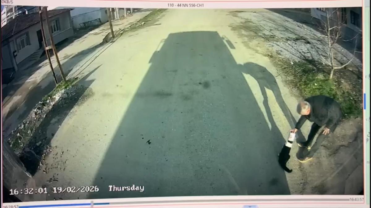 Başı konserve kutusuna sıkışan kediyi otobüs şoförü kurtardı