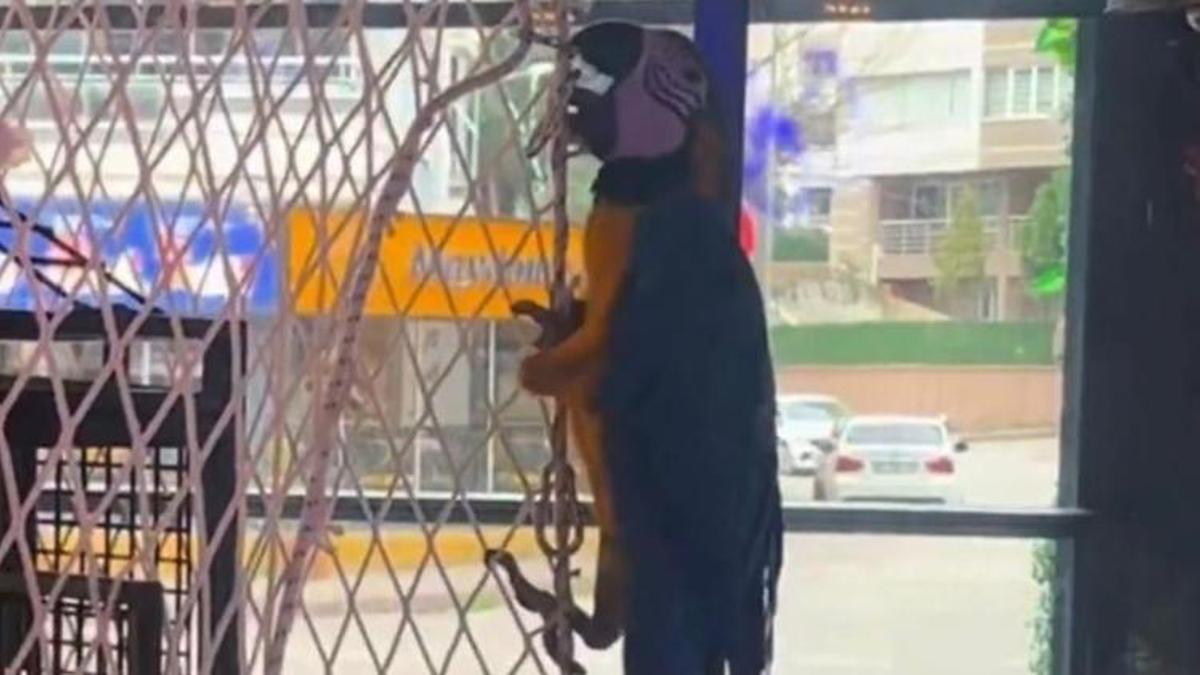 Samsun'da işyerine giren ekipler inanamadı!