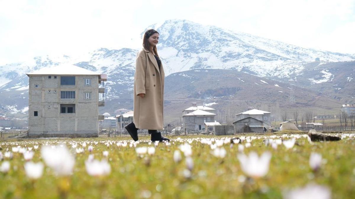Muş Ovası'nda ilk kez açtı: Şubat ayında herkesi şaşırttı