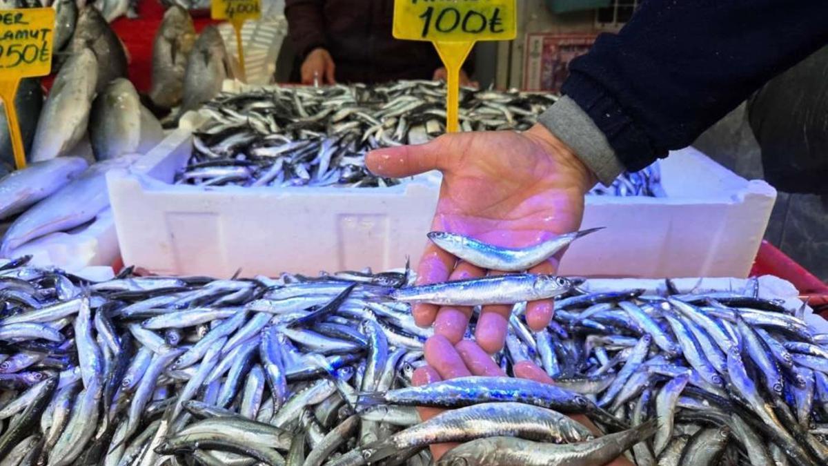 Karadeniz'de hamsi bereketi! Fiyatlar 100 liraya düştü