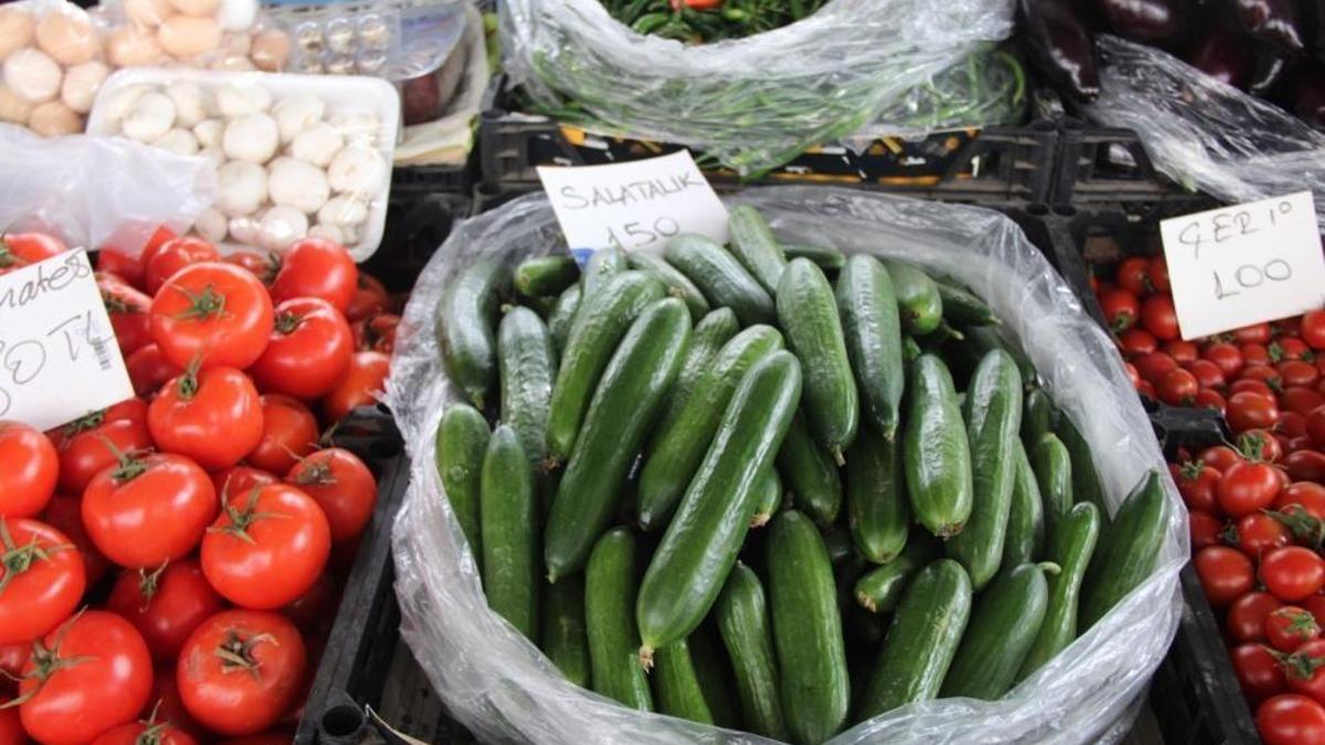 Muğla'da salatalık fiyatı rekor kırdı!