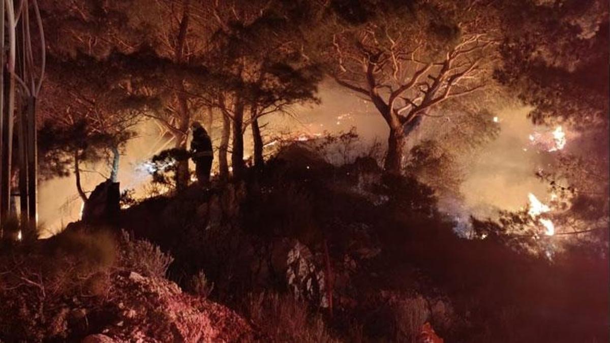 Muğla’nın Bodrum ilçesinde orman yangını çıktı