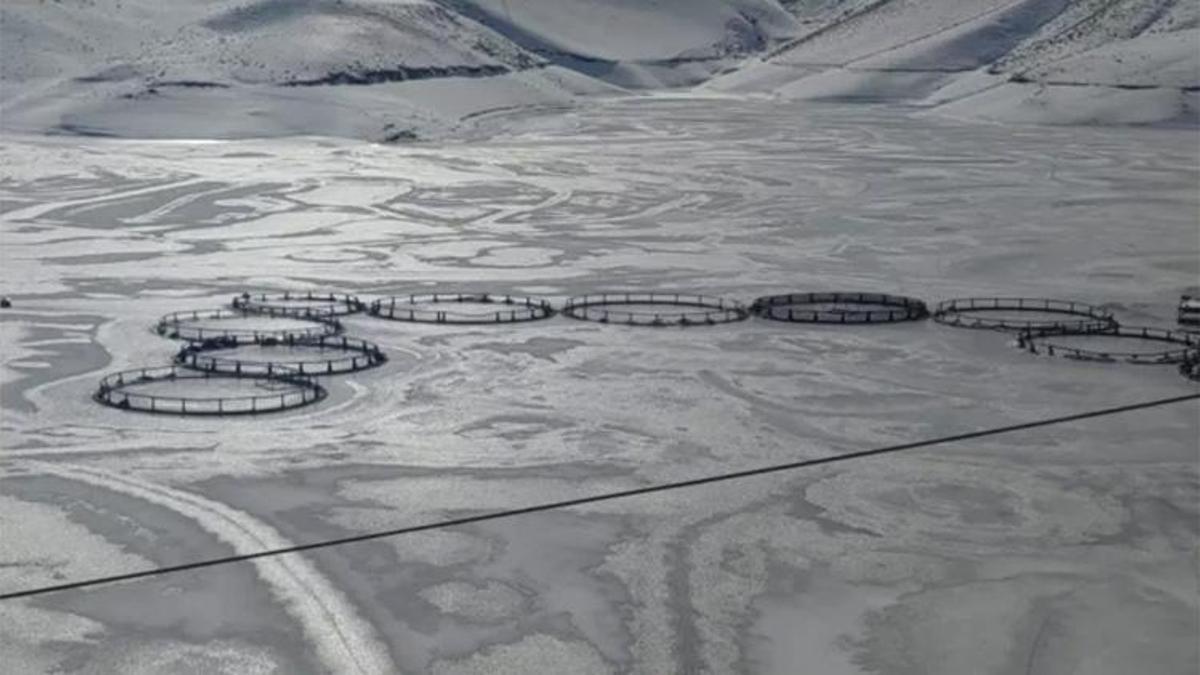 Van’da Sibirya soğukları barajları vurdu: Sarı Mehmet ve Zernek barajları tamamen buz tuttu!
