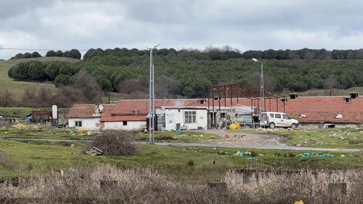 İstanbul'da çiftlik evinde vahşet! Elektrikli testereyle çalışanının boynunu kesti