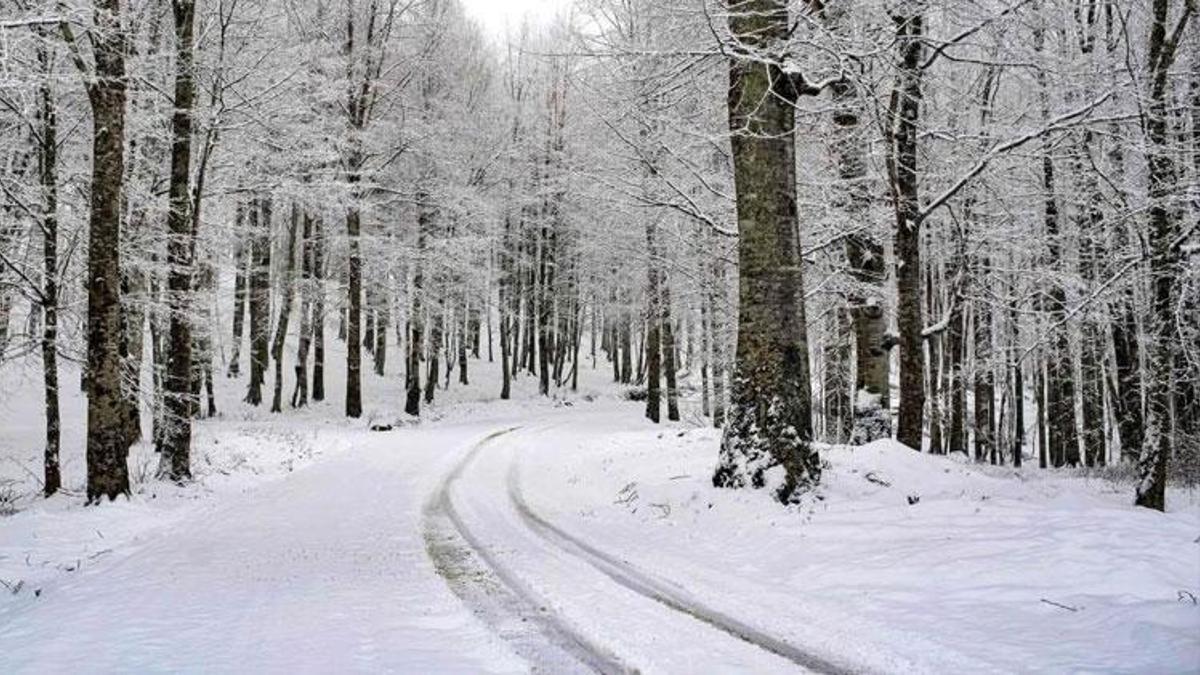 Ordu Valiliği açıkladı: 15 ilçede eğitime kar engeli