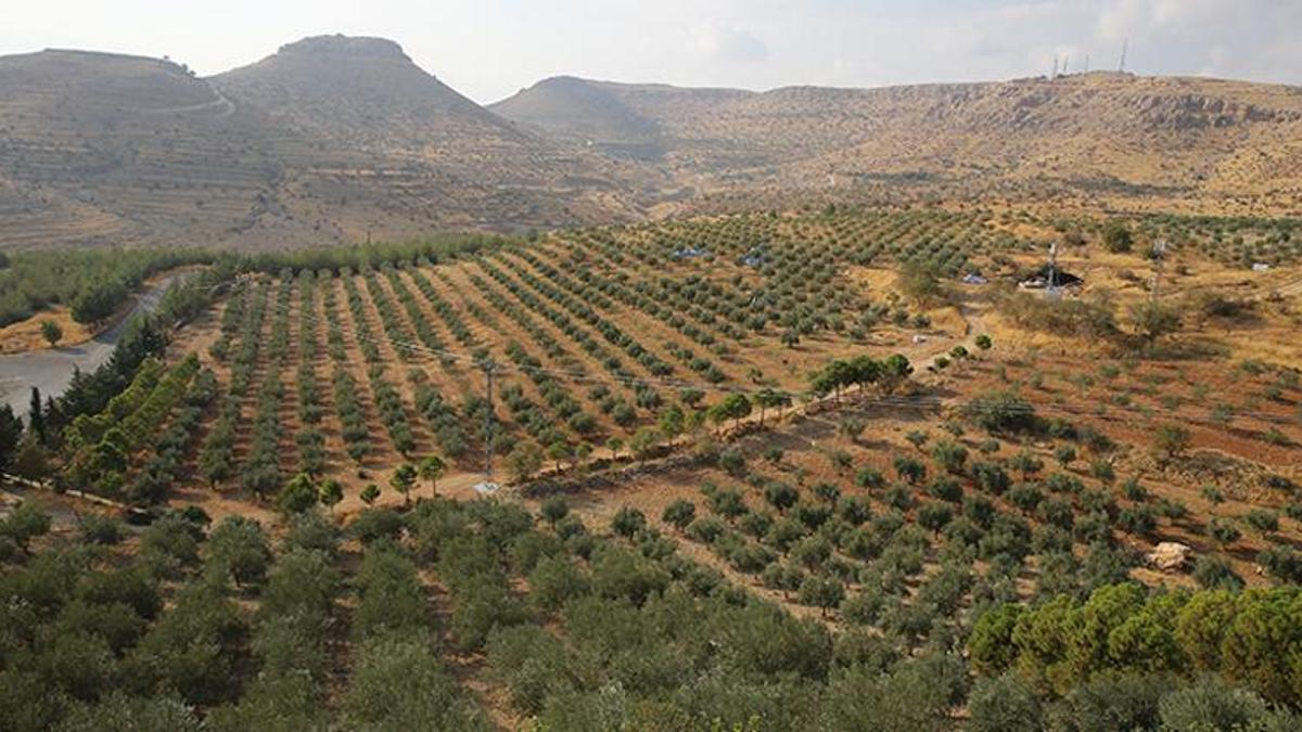 Türkiye'nin üretim merkezinde tehlike patladı! Risk en üst seviyede: Kesinlikle uzan durun