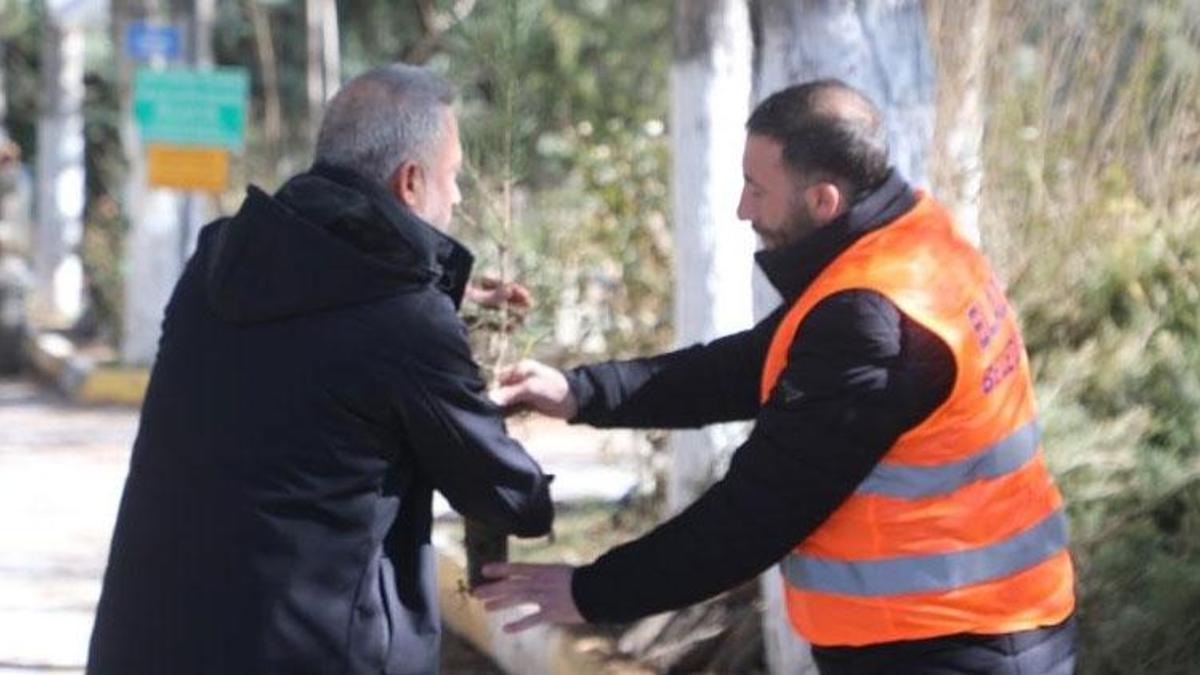 Elazığ'da vatandaşlara ücretsiz fidan desteği