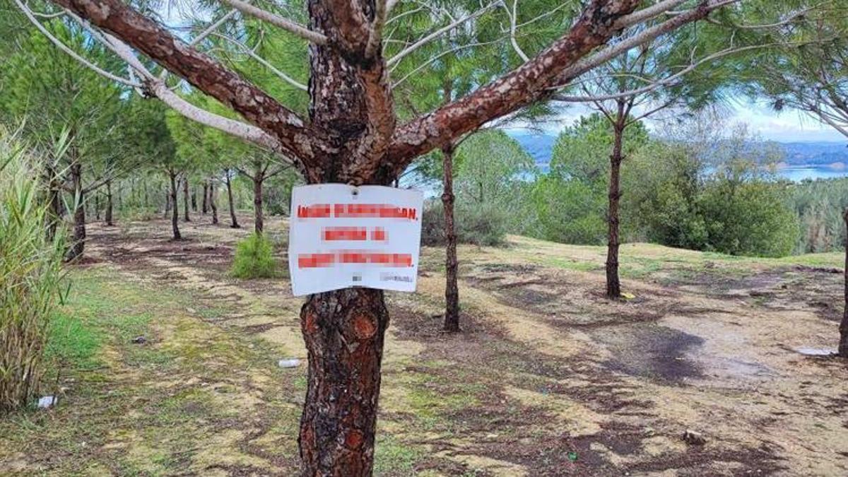Adana'da 'hayvan ol' yazıp ağaca astı! Görenler inadına yaptı