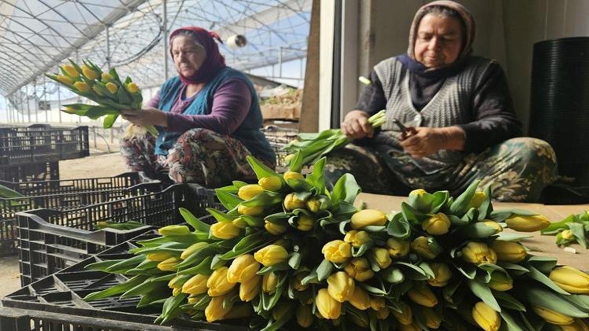 Türkiye'de tek! Sadece suyla 500 bin adet üretildi: Talep patladı, Antalya'dan tüm Türkiye'ye gönderiliyor