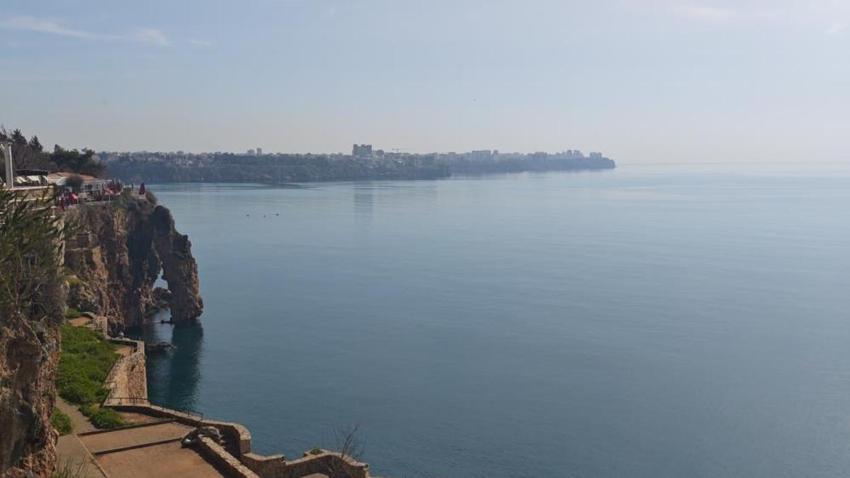 Akdeniz'de tehlikeli tür! Kesinlikle dokunulmaması gerekiyor