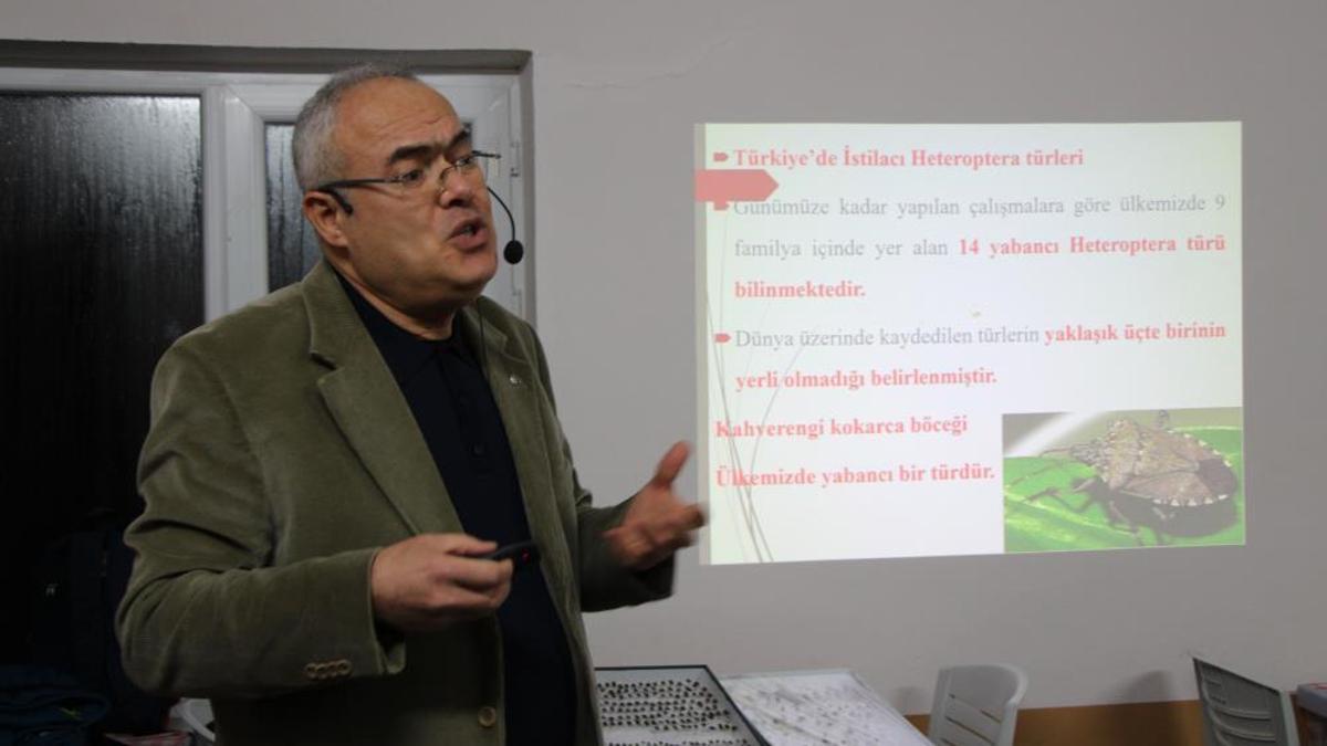 Fındık üreticisine müjde: Karadeniz'de kahverengi kokarca istilasında flaş tarih: 2030’da tamamen yok oluyor!