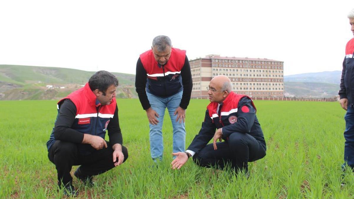 Yağışlar yüzde 150 arttı, ürünlerin fiyatları olumlu yönde etkilenebilir