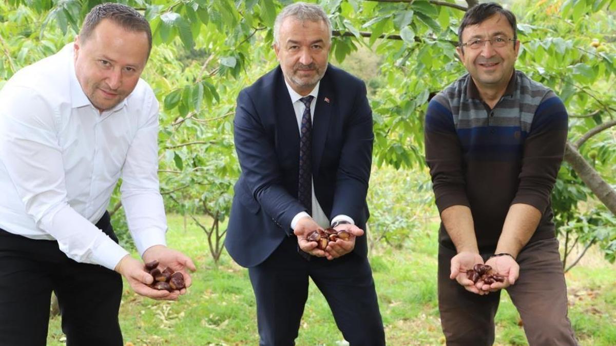 Nebiyan'ın lezzetleri tescil yolunda! Adım atıldı