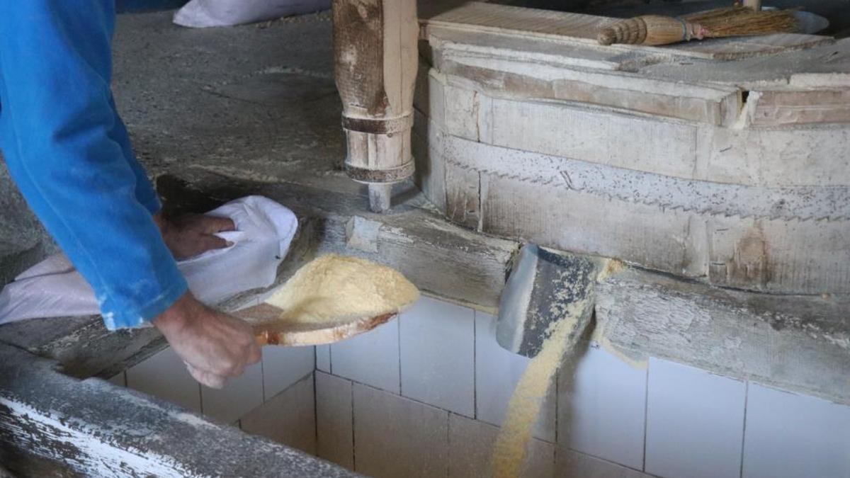 Sakarya'da 6 kuşaktır aynı aile çalıştırıyor, 1500 yıldır durmuyor! Para yerine unla ödeme yapılıyor