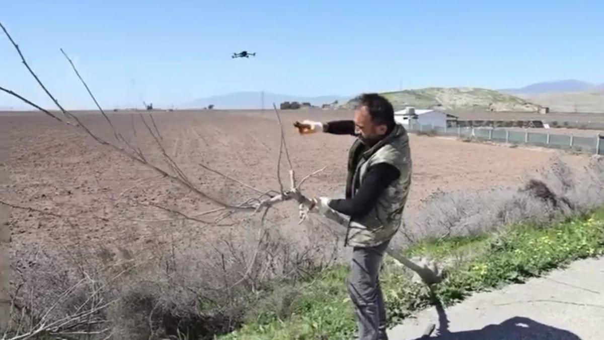 Hatay'da yol kenarları ağaçlandırılıyor